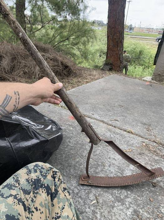 The Forgotten Yard Tool That Homeowners Are Desperate to Rediscover!