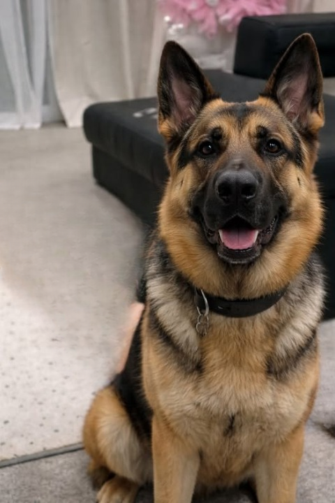 A Community Rallies After a Young Man Is Hospitalized Following a Serious Incident