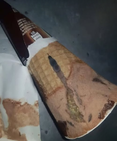 She Found Something Strange Inside Her Ice Cream — What Happened Next Shocked Everyone.