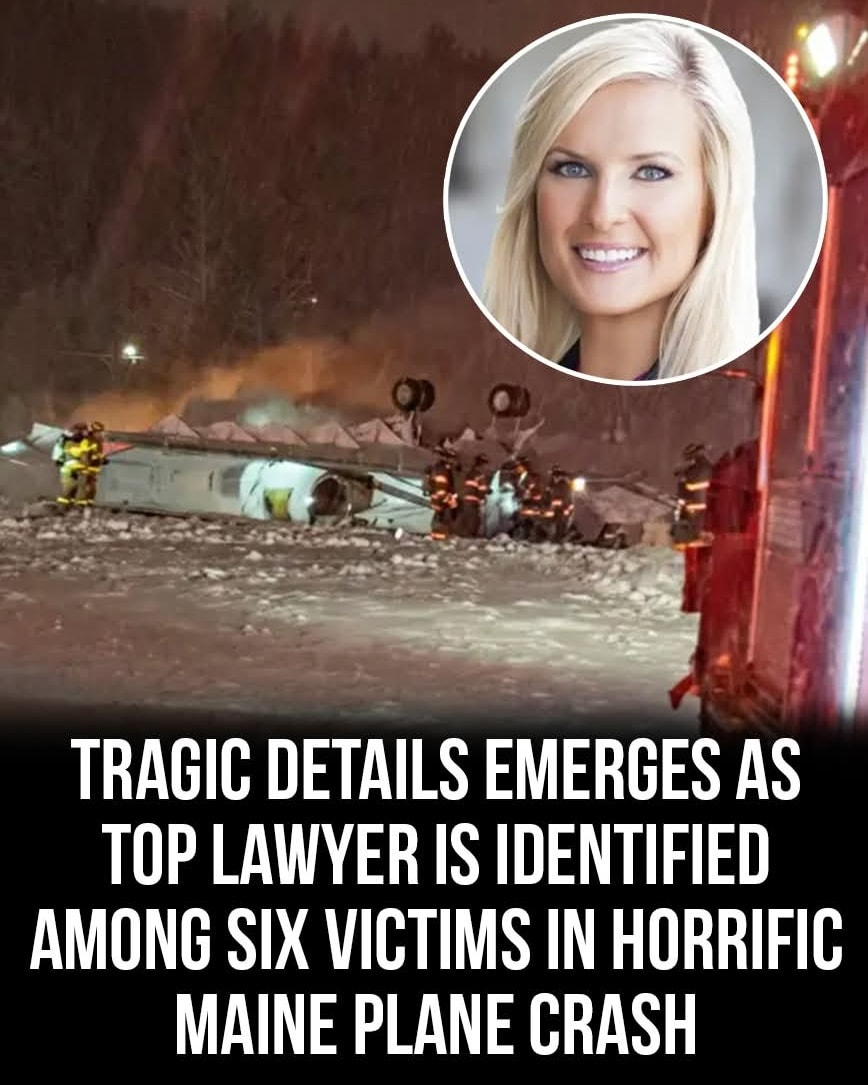 Tragic details emerge as top lawyer is identified among six victims in horrific plane crash