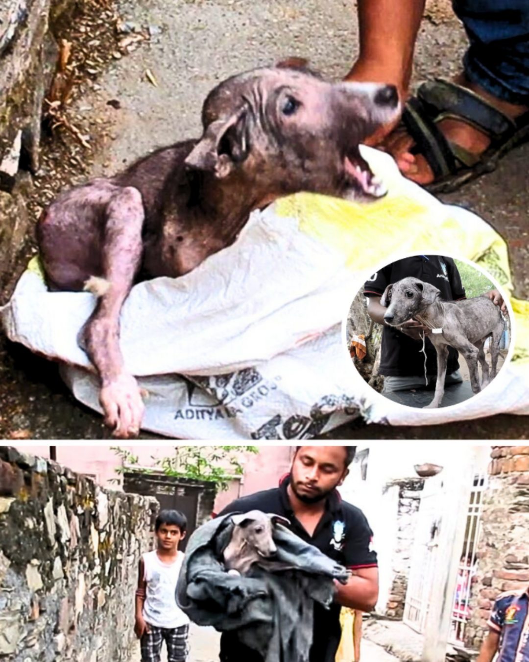 Jumper’s Journey: From Suffering to Strength