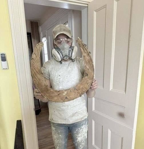 Do You Remember This Popular Trend? Here’s What Made It So Talked About