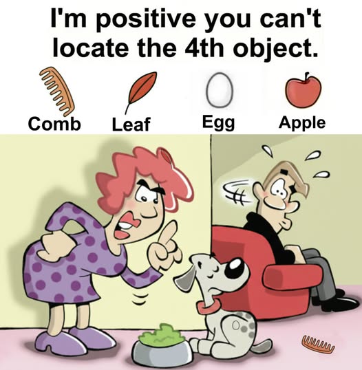 Find Comb, Leaf, Egg, Apple.