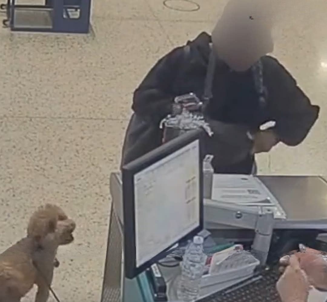 Cruel Traveler Abandons Dog at Airport, Heartwarming Rescue by Police Officer