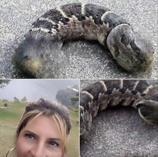 Woman Screams When She Spots ‘Two-Headed Snake’ In Back Garden, Stunned When She Realizes What It Really Is