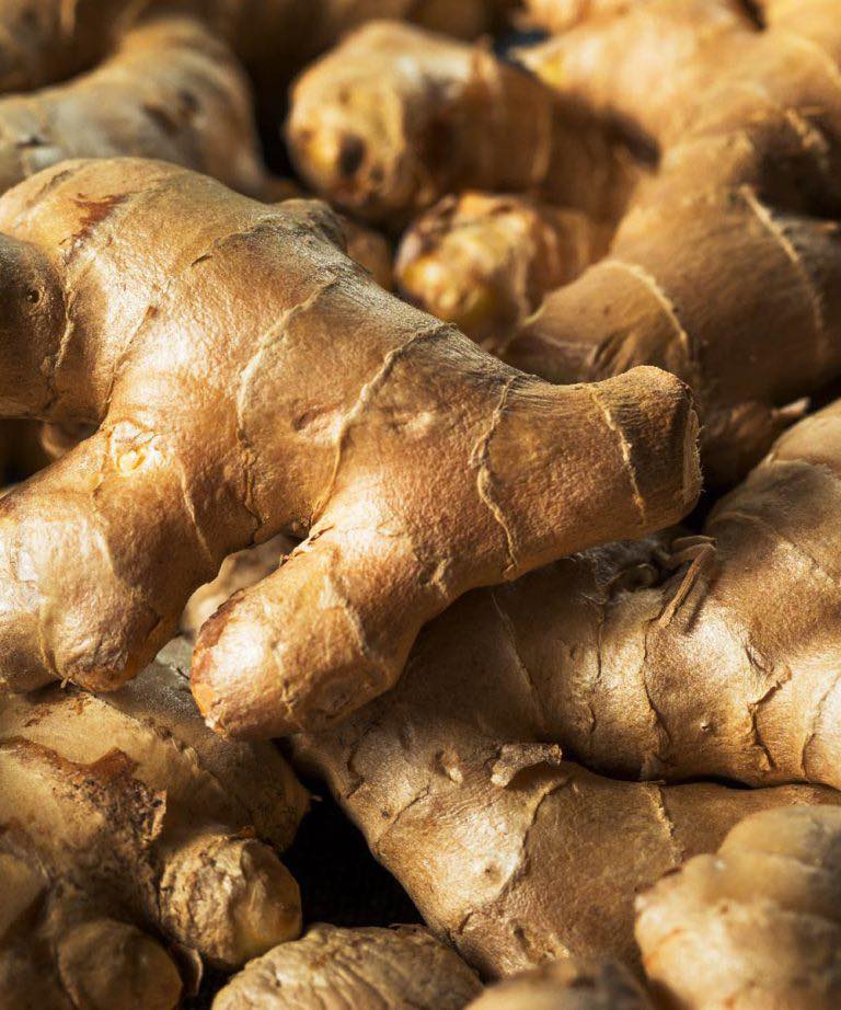 Doctors reveal that consuming ginger causes in… see more”
